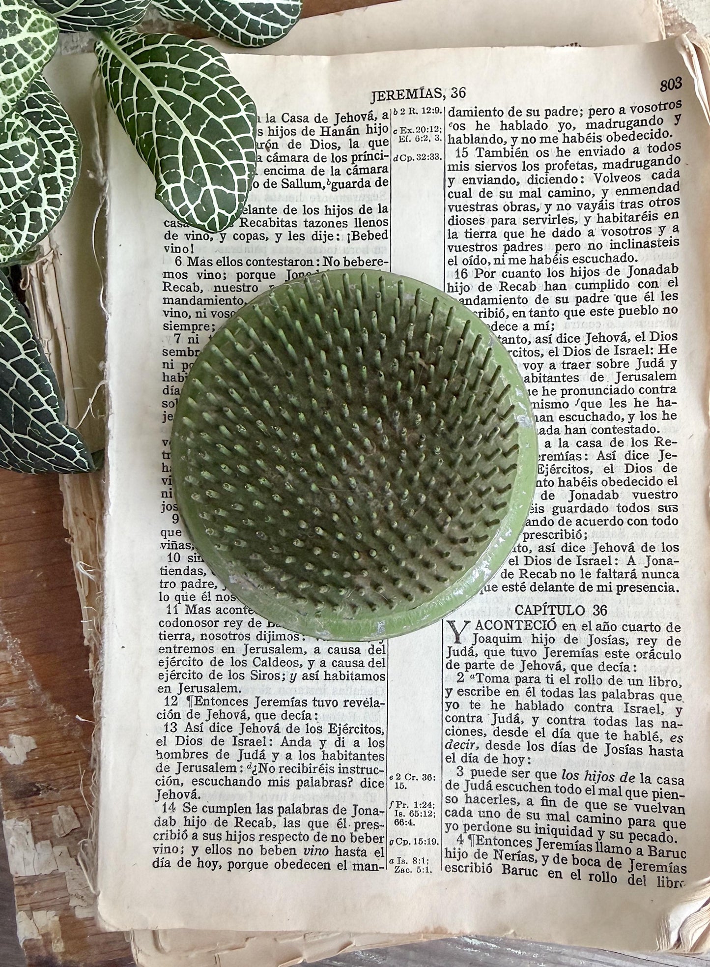 Vintage Green Metal Floral Frog Holder – Farmhouse Decor