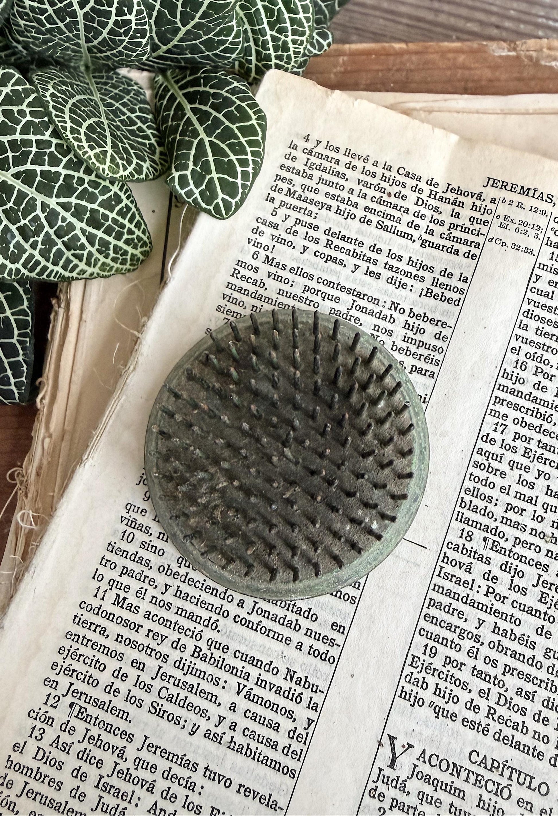 Vintage GREEN Metal Floral Frog Flower Holder Farmhouse Decor Photo Spike