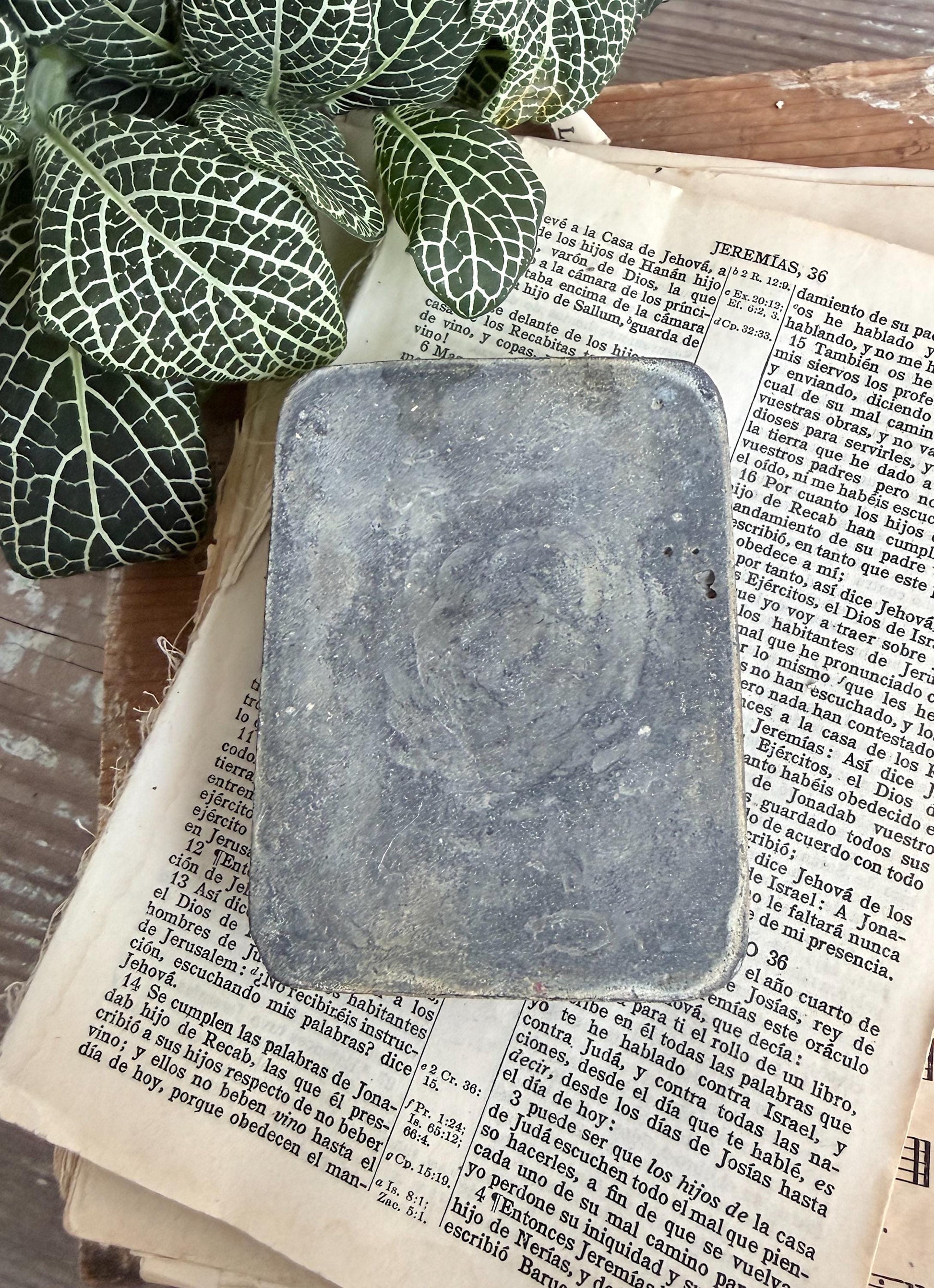 Vintage Metal Floral Frog RECTANGLE Flower Holder Farmhouse Decor Spike