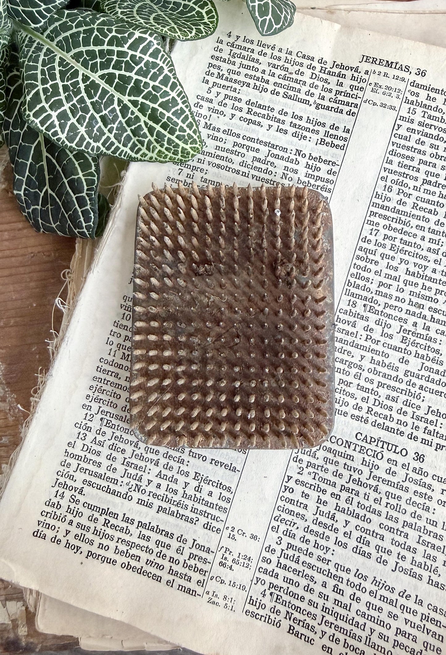 Vintage Metal Floral Frog RECTANGLE Flower Holder Farmhouse Decor Spike