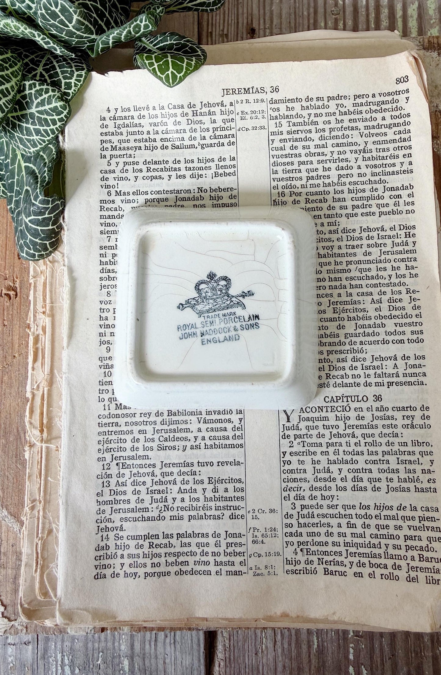 Antique White Ironstone SQUARE Butter Pat Farmhouse Decor Stained Grungy Crazing John MADDOCK England
