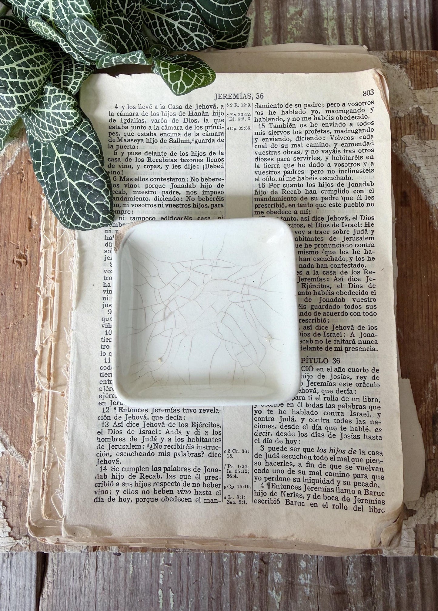 Antique White Ironstone SQUARE Butter Pat Farmhouse Decor Stained Grungy Crazing John MADDOCK England
