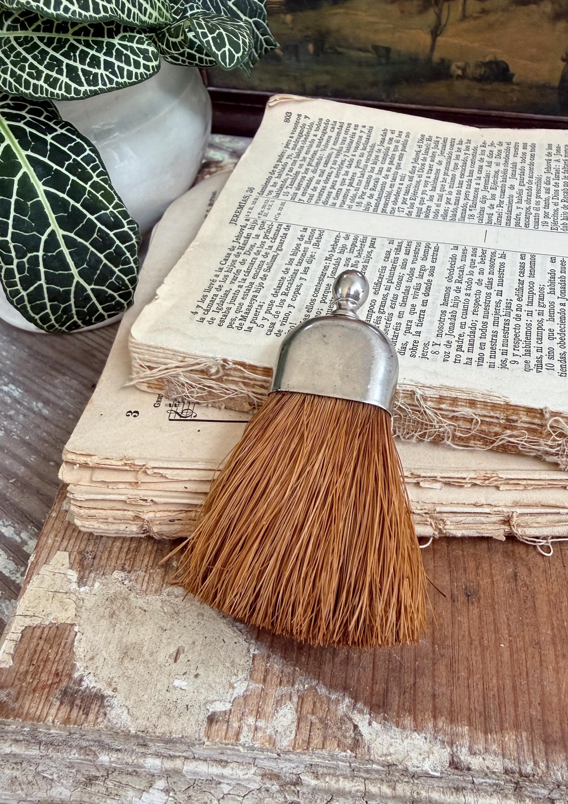Antique Whisk Crumb Broom Hand Straw Brush Silver Farmhouse Decor Vintage Broom