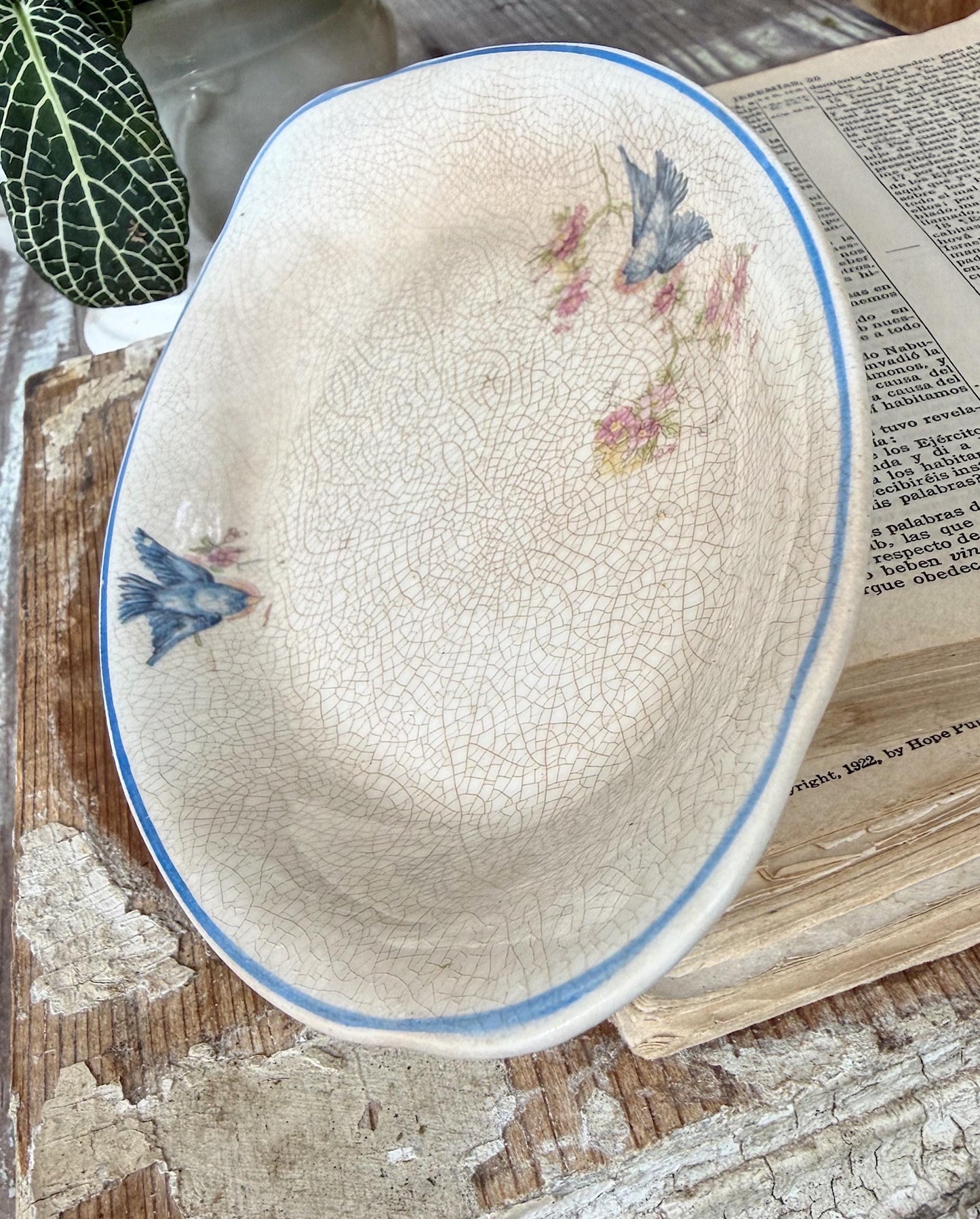 Antique BLUE BIRD Ironstone OVAL Plate Farmhouse Decor Crazing Stained