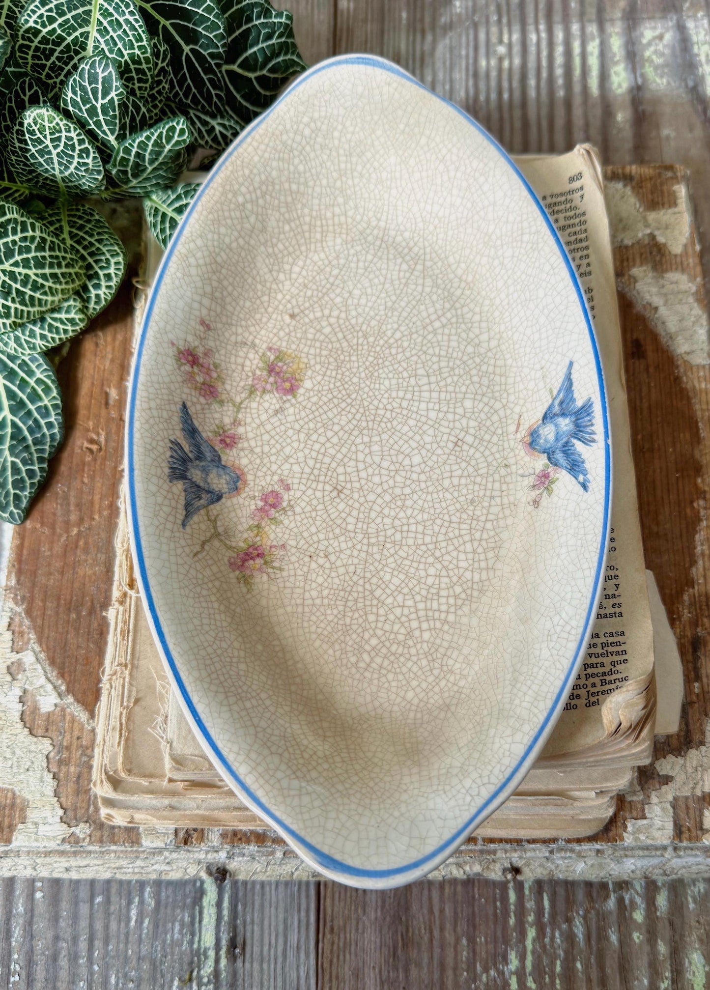 Antique BLUE BIRD Ironstone OVAL Plate Farmhouse Decor Crazing Stained