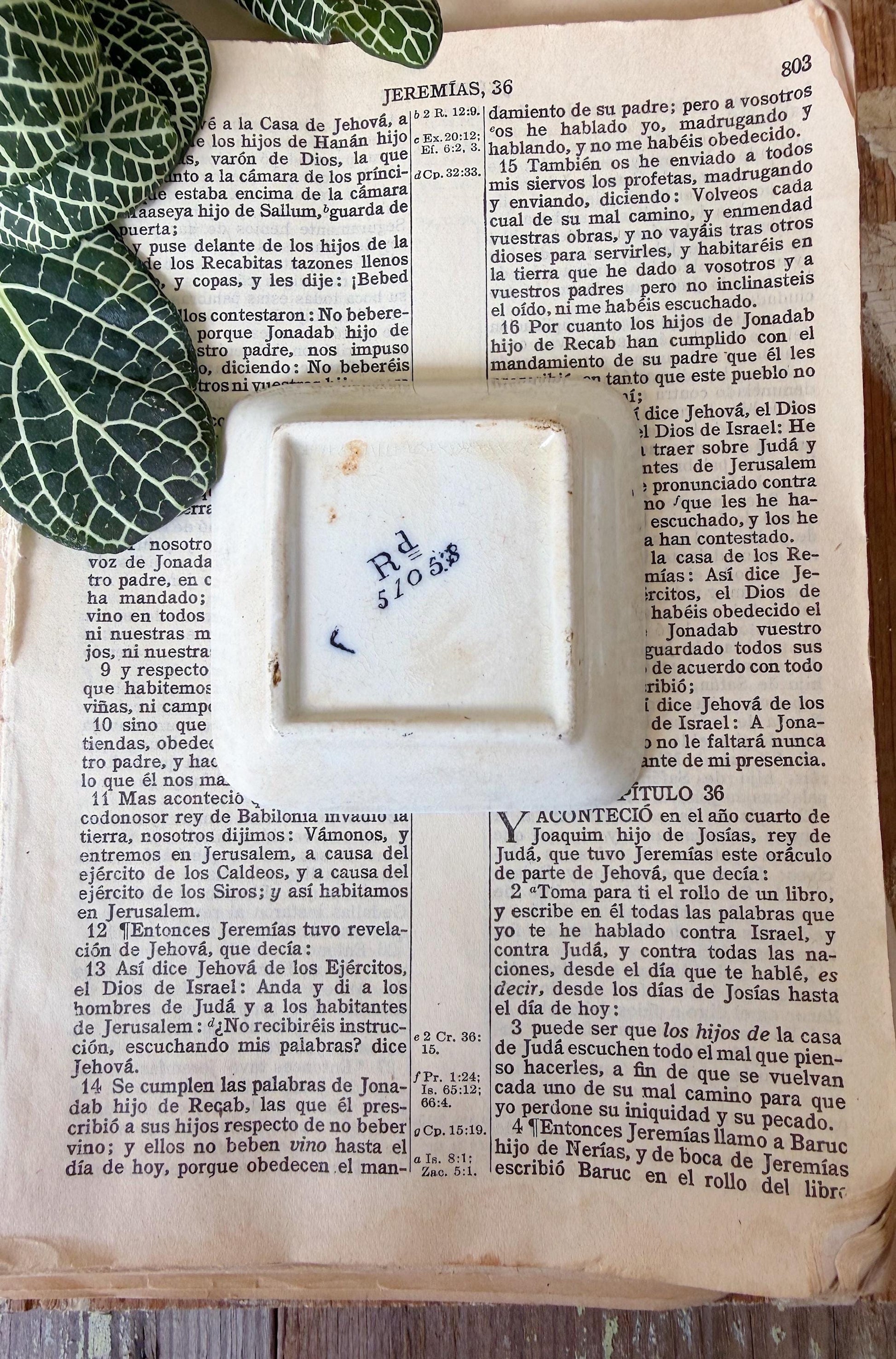 Antique White Ironstone Flow Blue SQUARE Butter Pat Farmhouse Decor Stained Grungy Crazing GRINDLEY