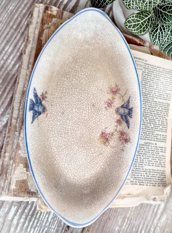 Antique BLUE BIRD Ironstone OVAL Plate Farmhouse Decor Crazing Stained