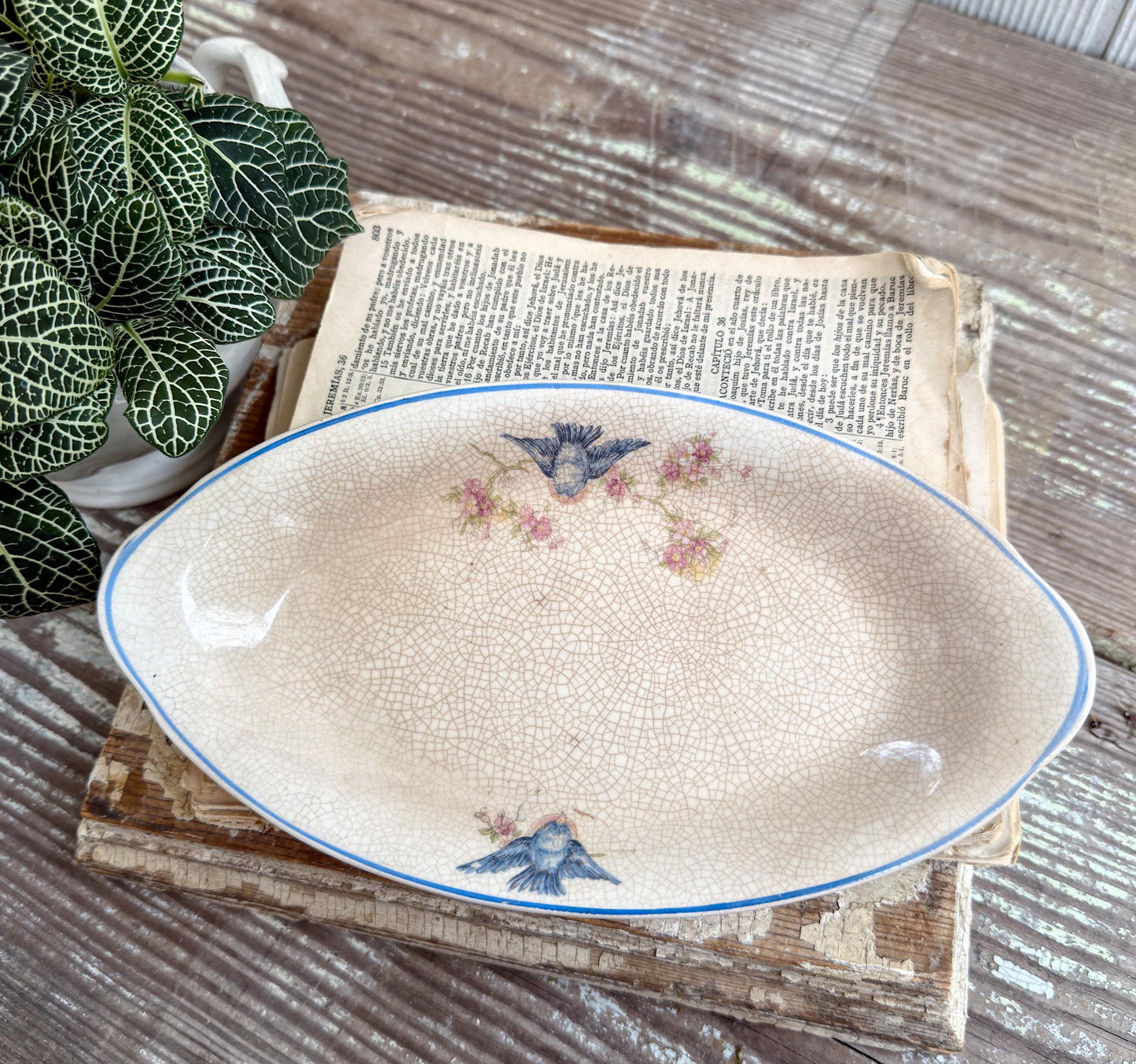 Antique BLUE BIRD Ironstone OVAL Plate Farmhouse Decor Crazing Stained