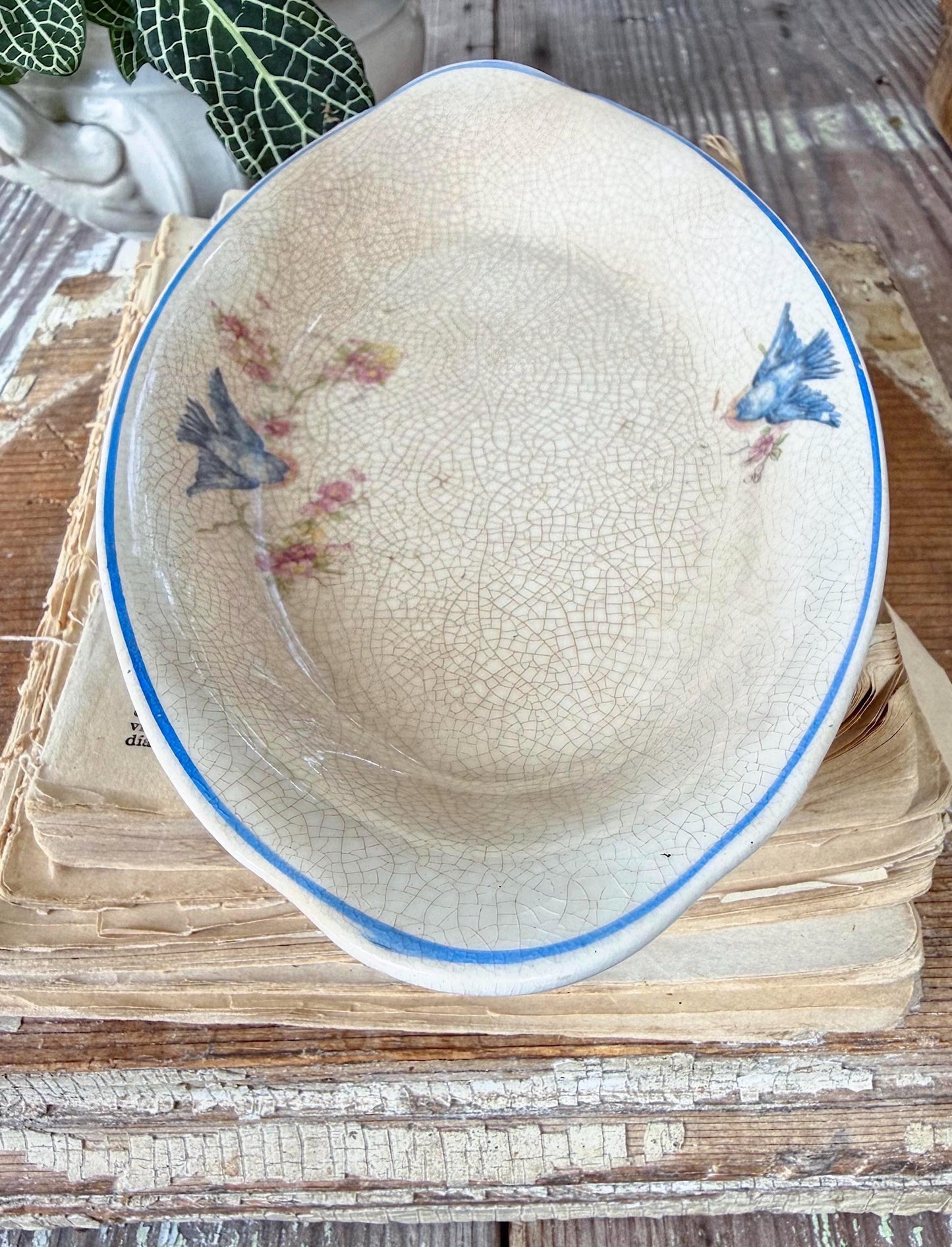 Antique BLUE BIRD Ironstone OVAL Plate Farmhouse Decor Crazing Stained