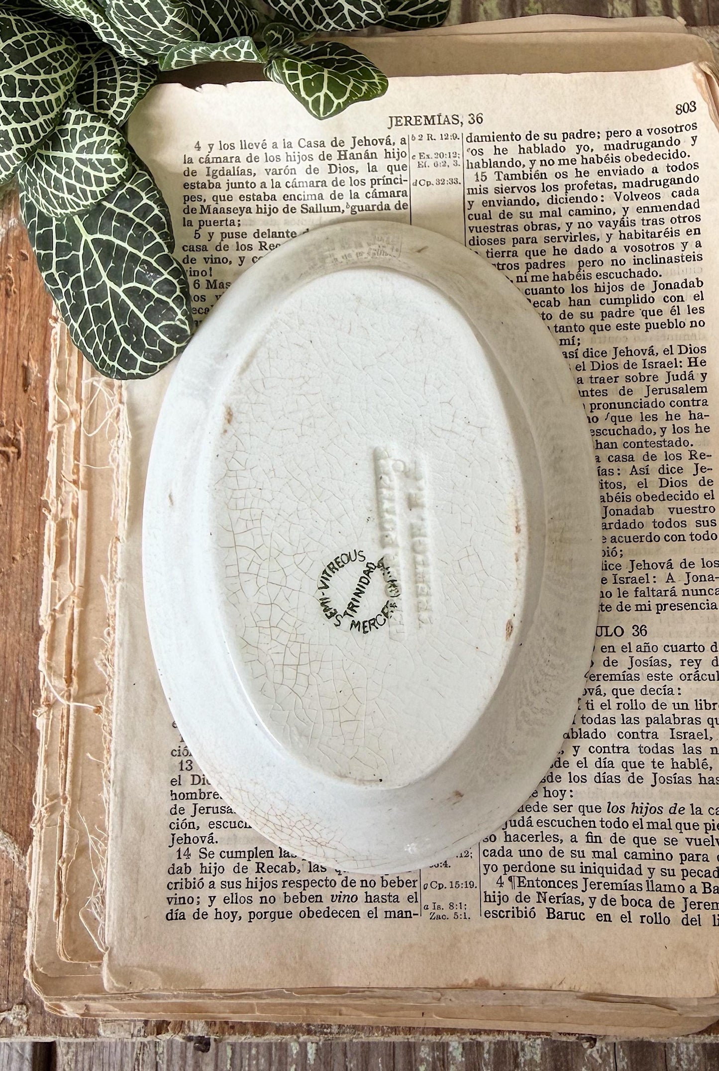 Antique Ironstone Soap Dish Bowl MEAKIN Oval Chunky Thick Green Transferware Farmhouse Decor Mercer Pottery