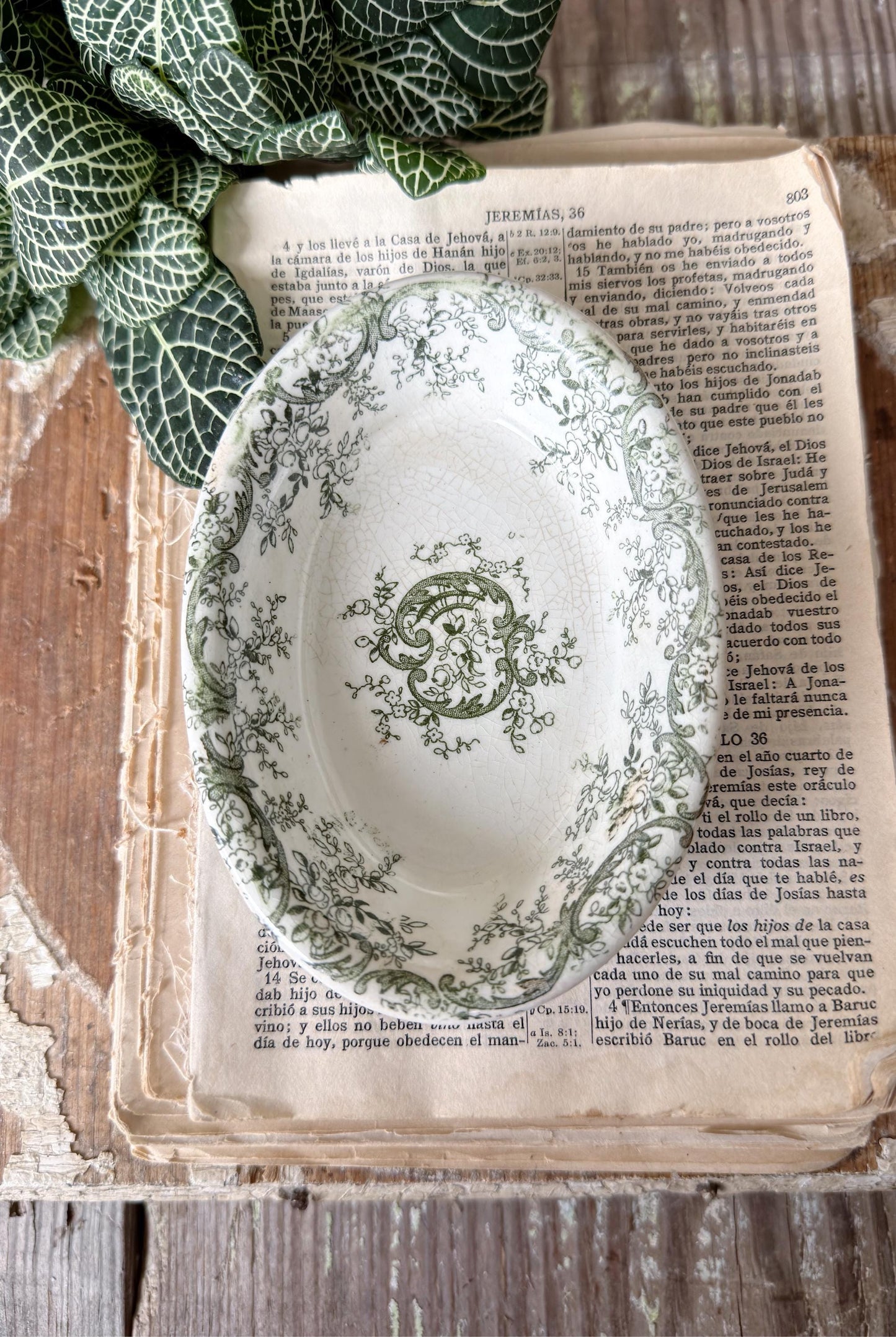 Antique Ironstone Soap Dish Bowl MEAKIN Oval Chunky Thick Green Transferware Farmhouse Decor Mercer Pottery
