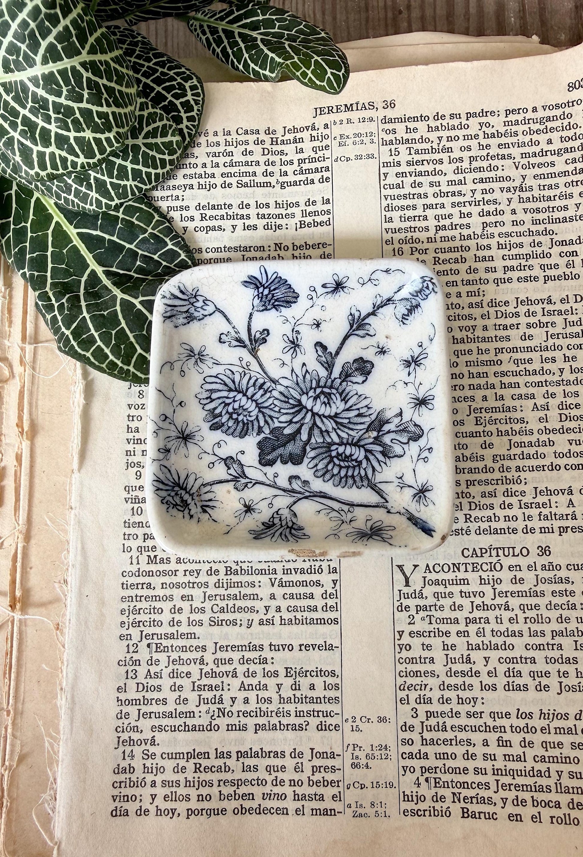 Antique White Ironstone Flow Blue SQUARE Butter Pat Farmhouse Decor Stained Grungy Crazing GRINDLEY