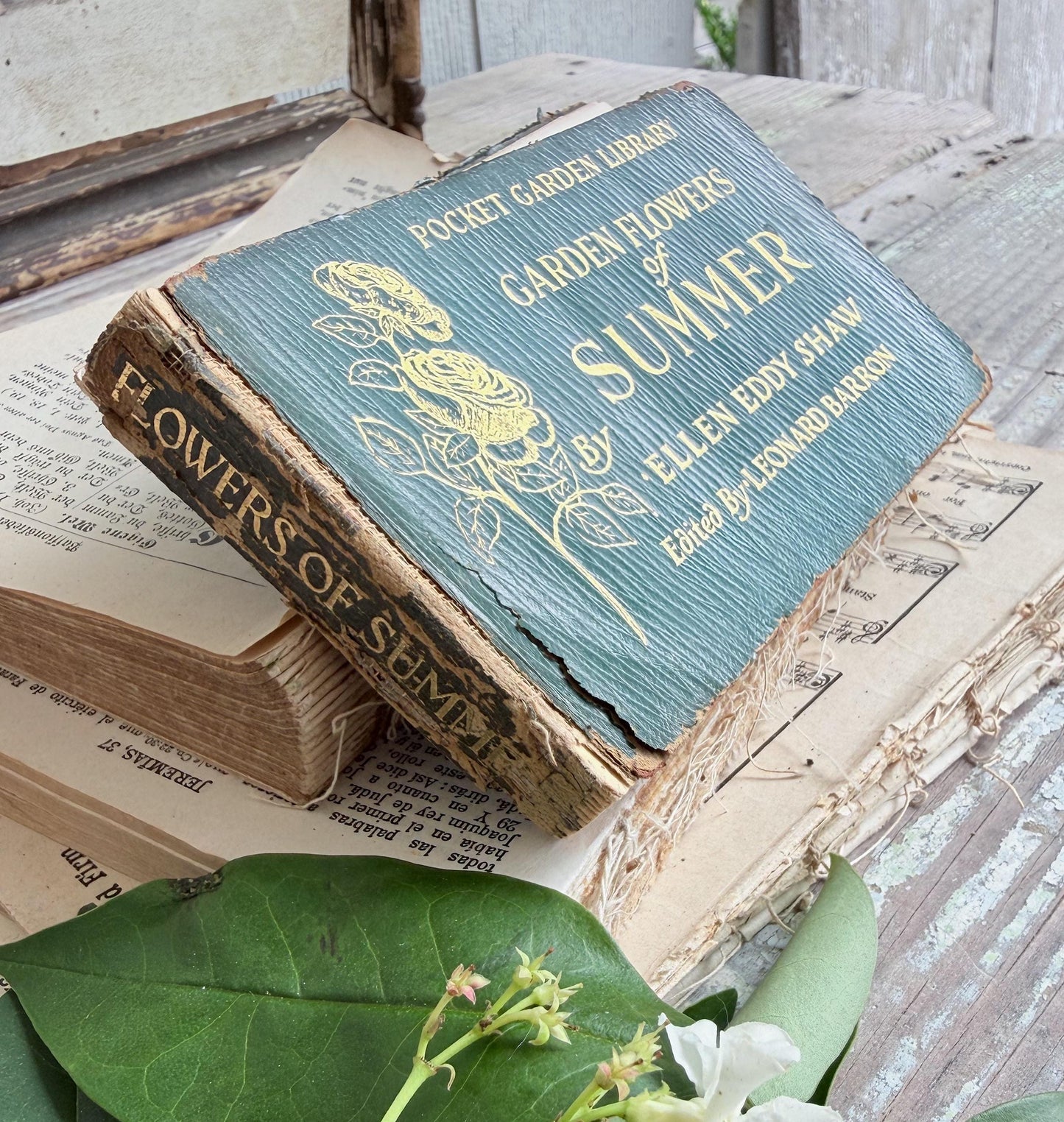 Antique GARDEN FLOWERS of SUMMER Guide Book 1917 Green Farmhouse Decor Ellen Eddy Shaw Pocket Book