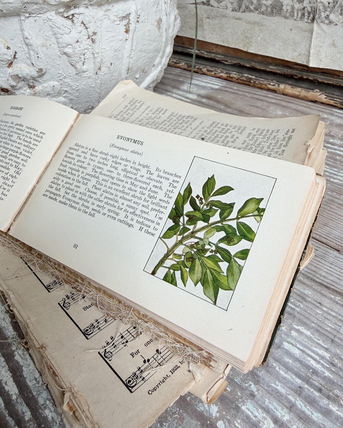 Antique GARDEN FLOWERS of SUMMER Guide Book 1917 Green Farmhouse Decor Ellen Eddy Shaw Pocket Book