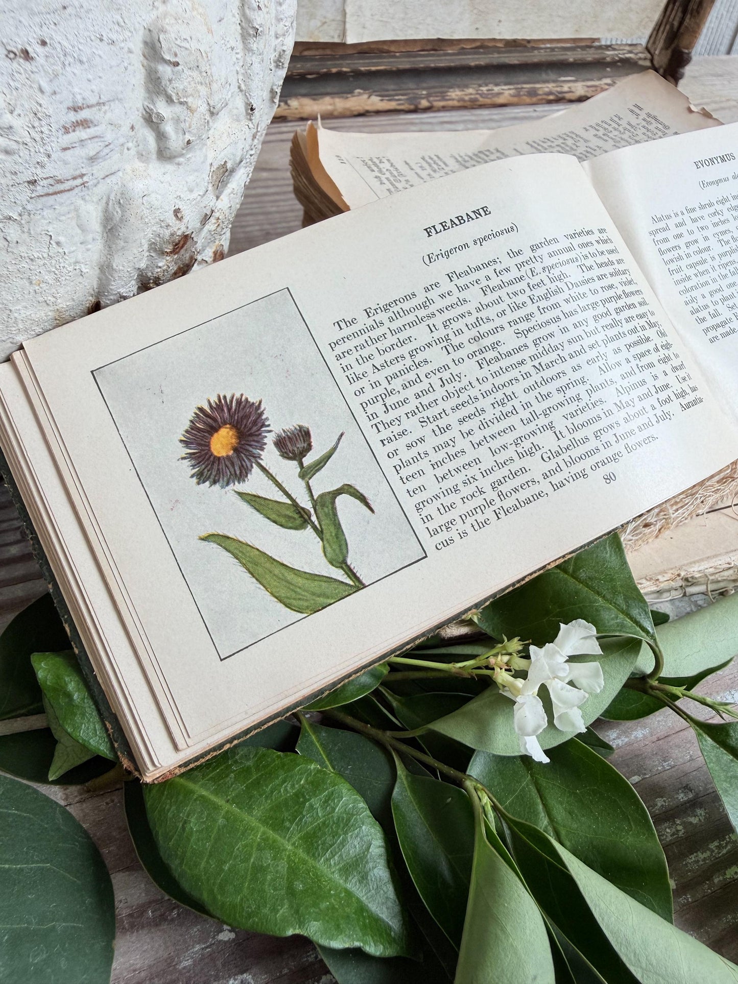 Antique GARDEN FLOWERS of SUMMER Guide Book 1917 Green Farmhouse Decor Ellen Eddy Shaw Pocket Book