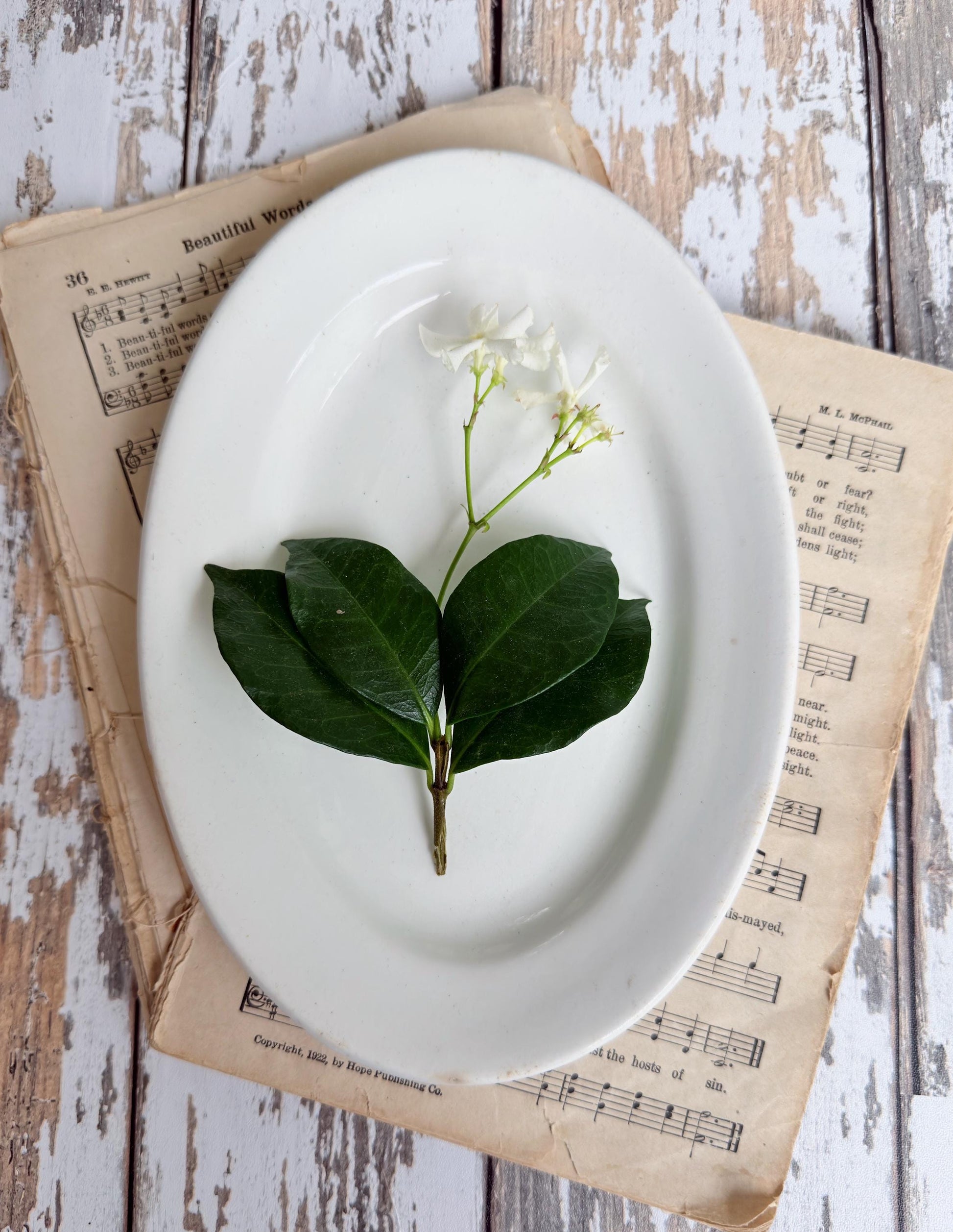 Antique Ironstone Soap Dish Platter Chunky, Farmhouse MADDOCK