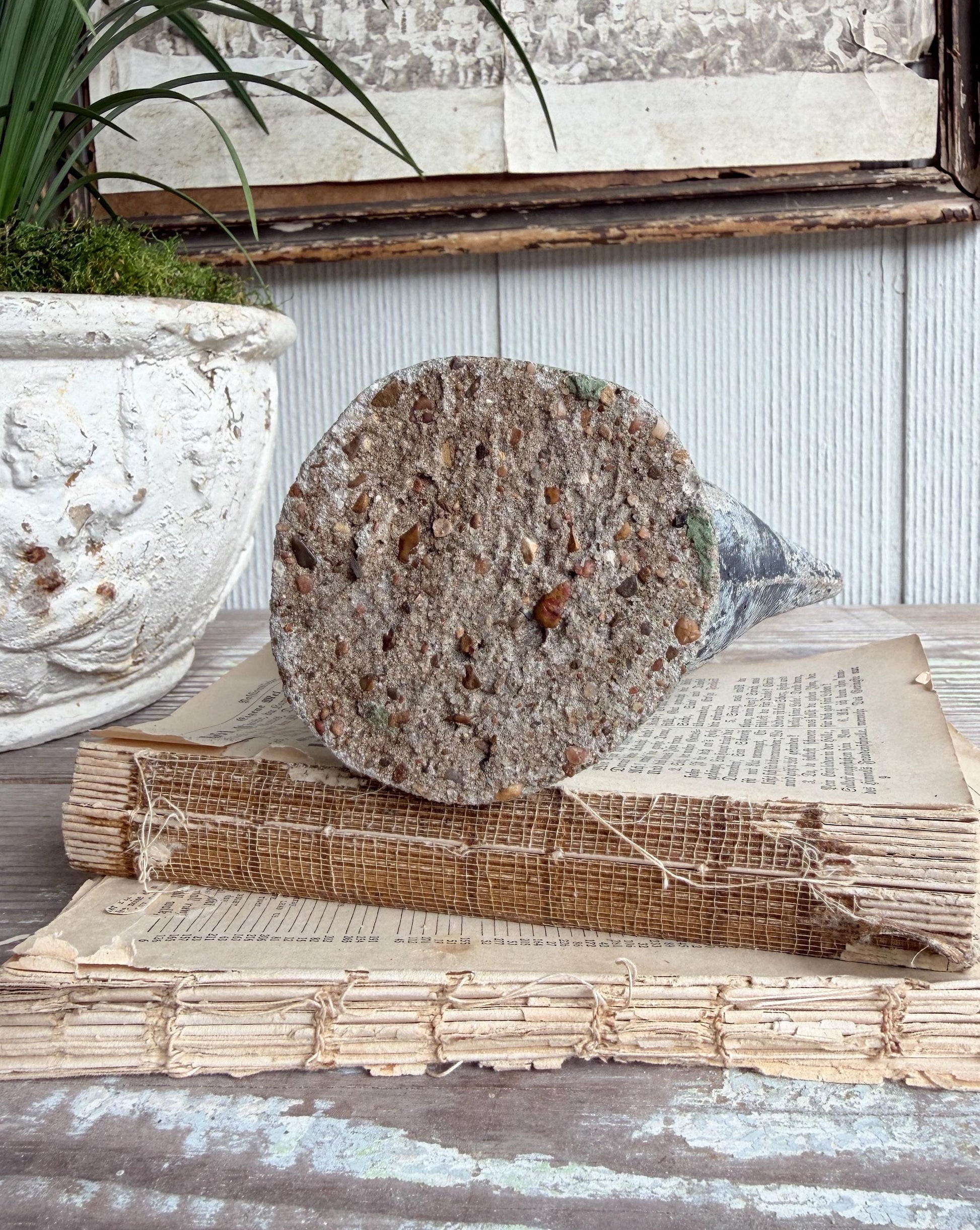 Vintage Concrete Bird Statue, Chippy Painted Garden Art, Farmhouse