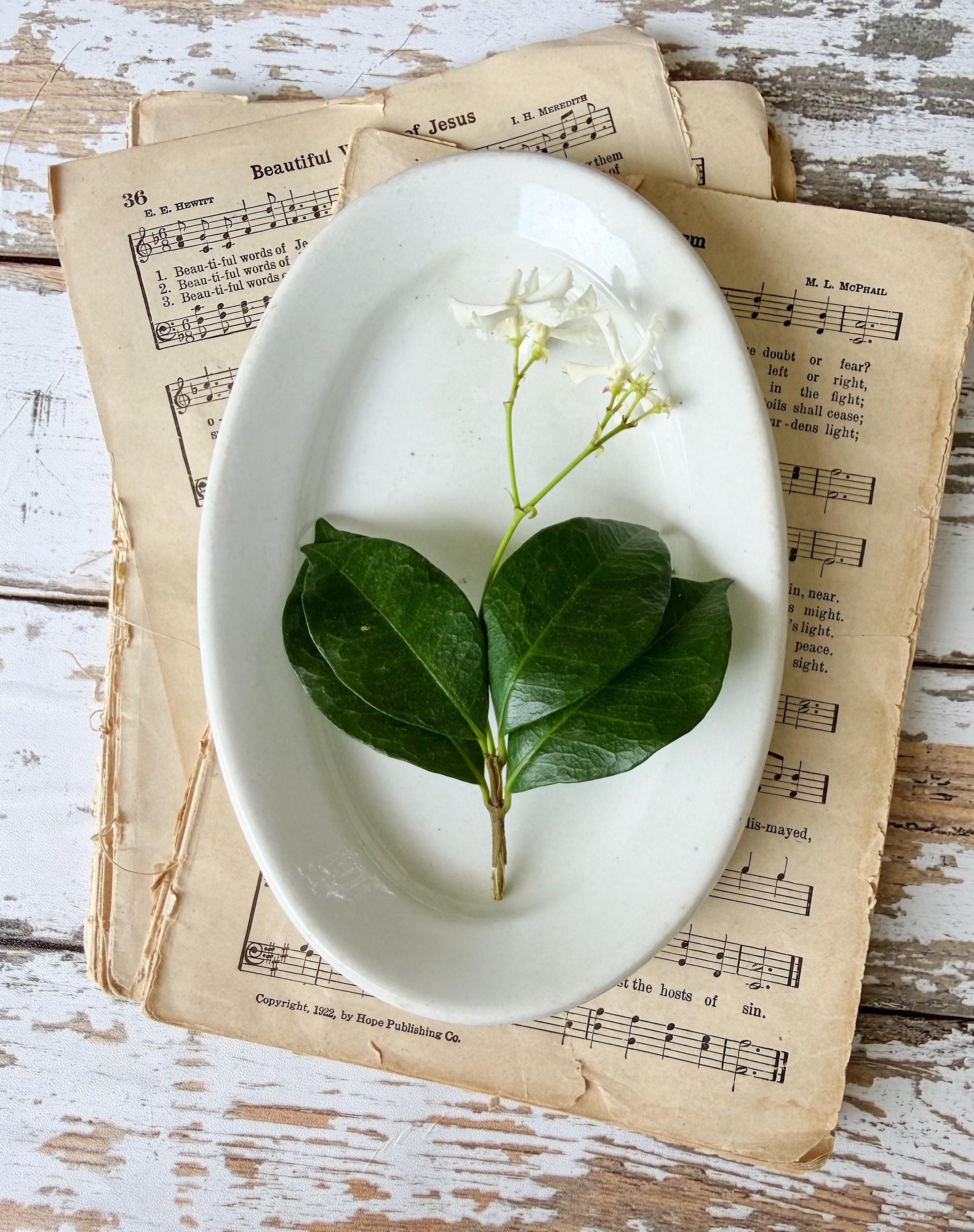 Ironstone Soap Dish, Antique White Platter Dish, English Ironstone Tray, Farmhouse Bathroom Decor