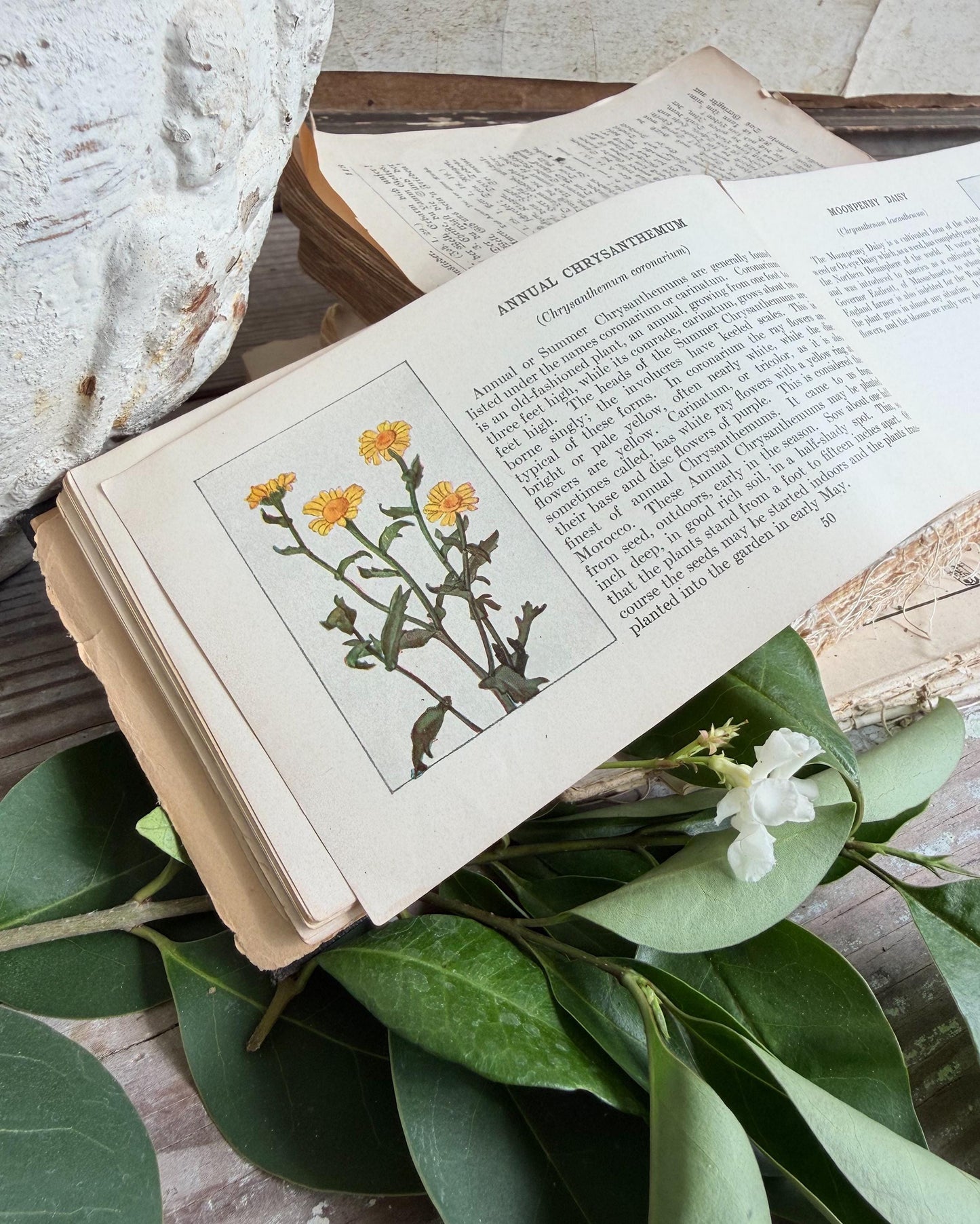 Antique GARDEN FLOWERS of SUMMER Guide Book 1917 Farmhouse Decor Ellen Eddy Shaw Pocket Book
