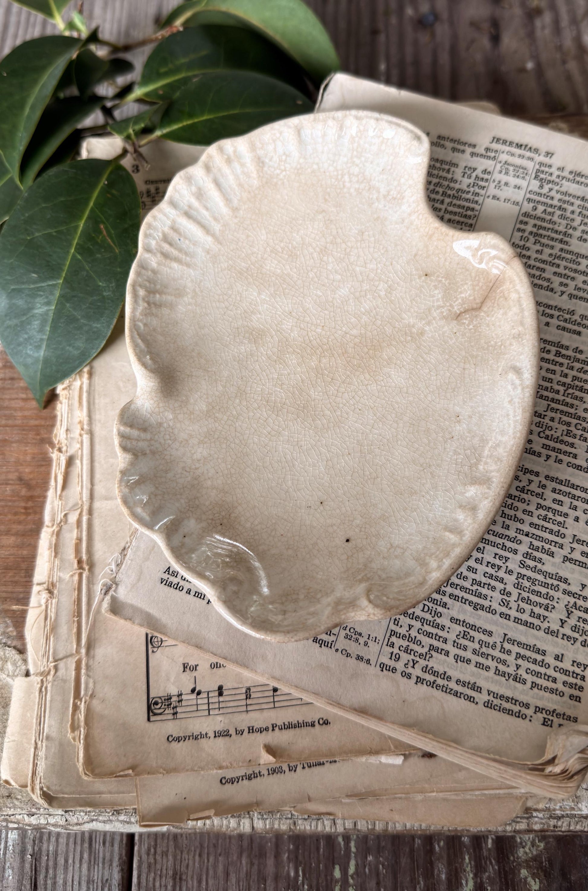 Antique La Belle China Dish – Small Ironstone Platter, Vintage White Crazing Tray, Farmhouse Decor