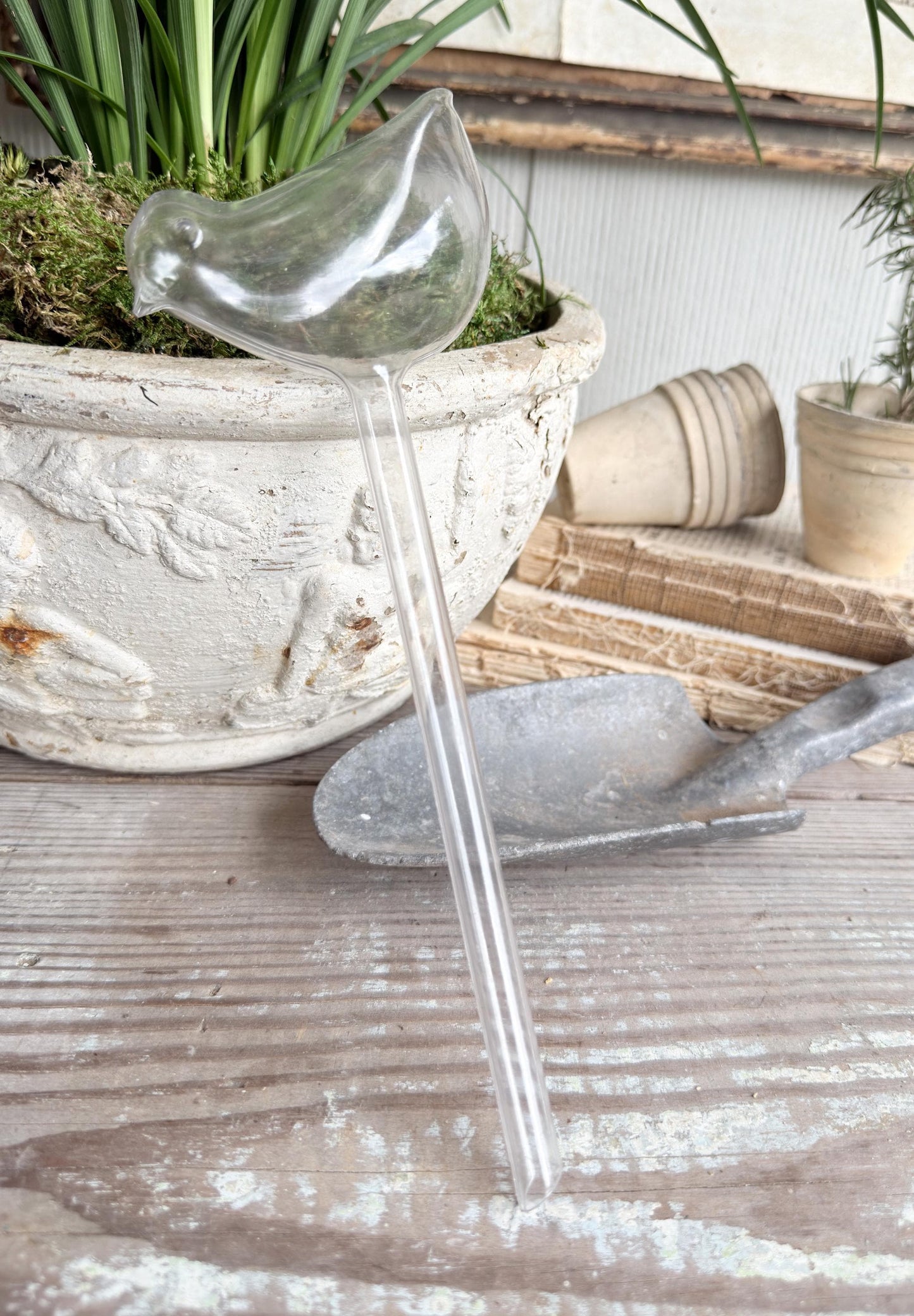 Vintage Bird Plant Watering Stake, Clear Plastic Watering Bird Garden