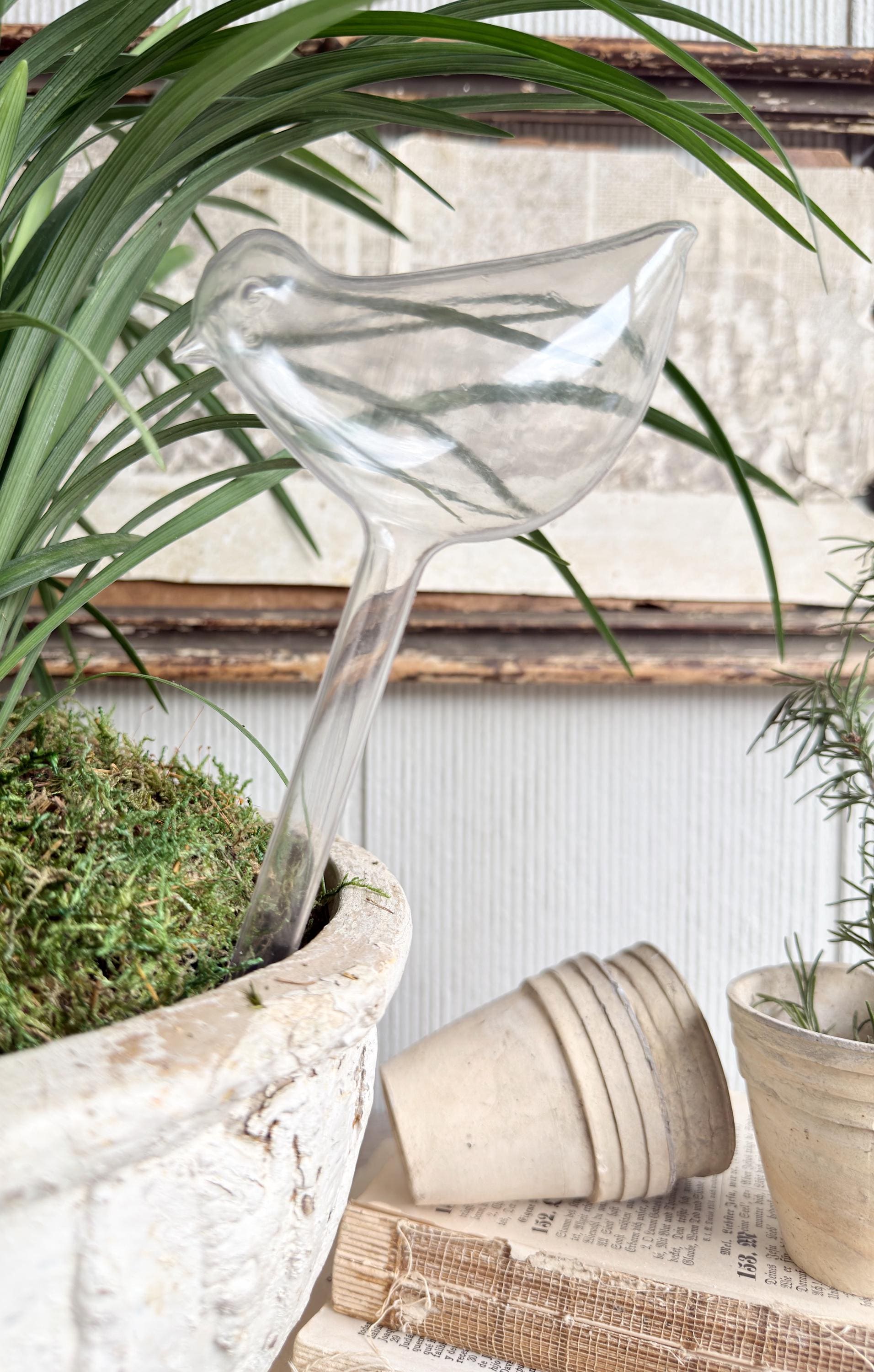 Vintage Bird Plant Watering Stake, Clear Plastic Watering Bird Garden