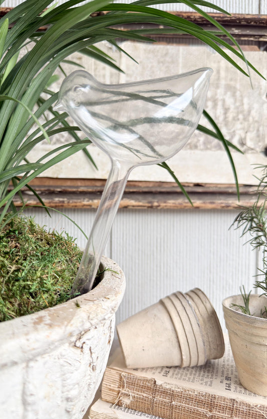 Vintage Bird Plant Watering Stake, Clear Plastic Watering Bird Garden