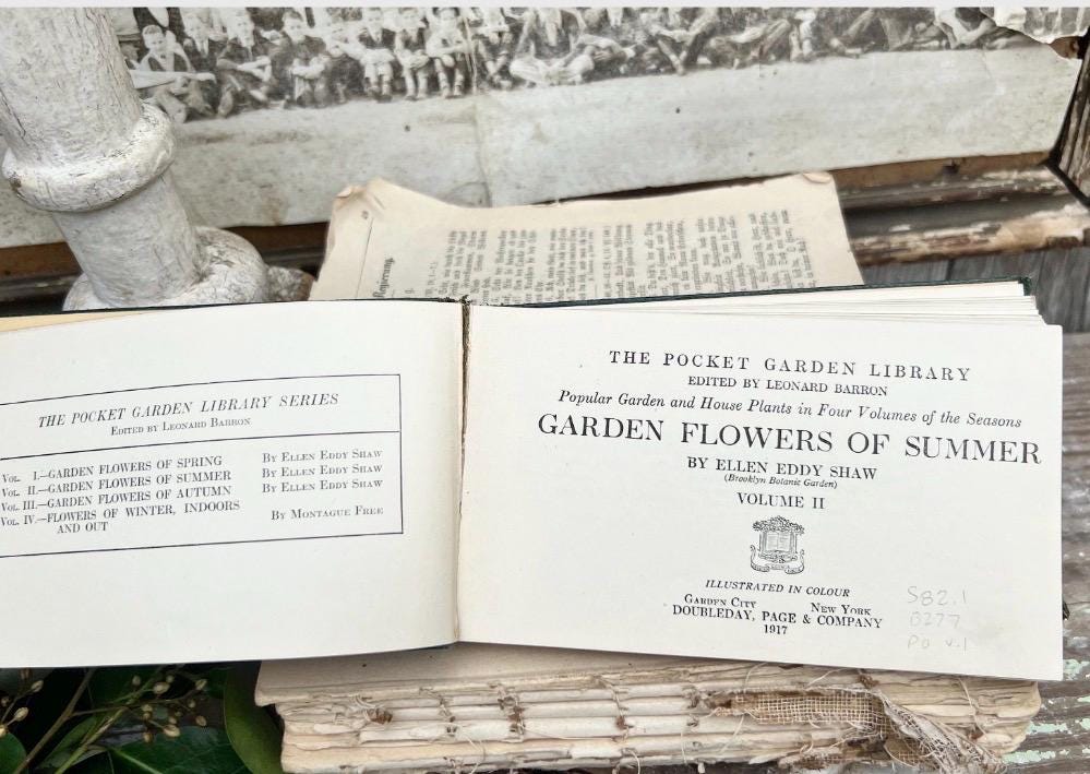 Antique GARDEN FLOWERS of SUMMER Guide Book 1917 Green Farmhouse Decor Ellen Eddy Shaw Pocket Book