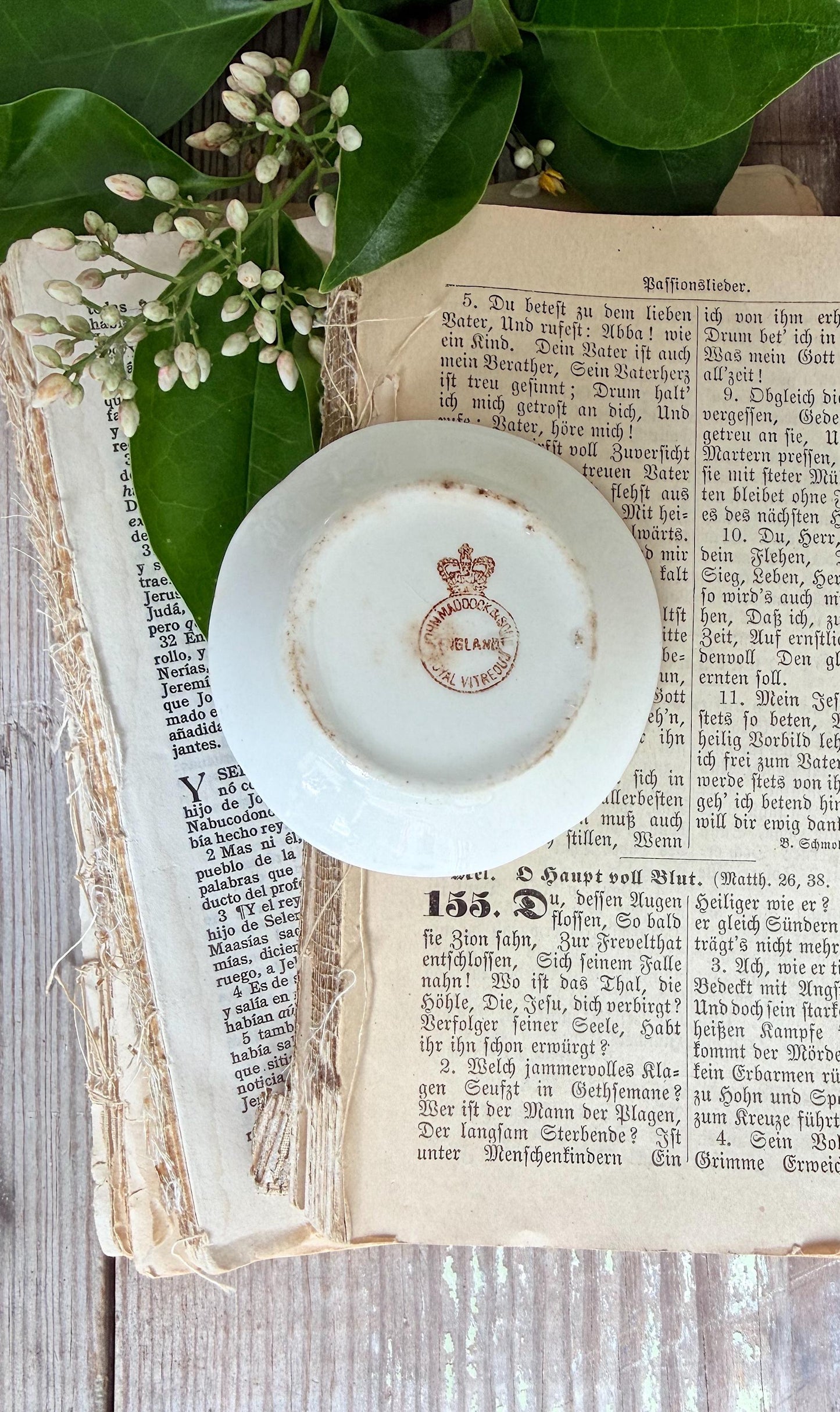 Antique White Ironstone Butter Pat Farmhouse Decor MADDOCK