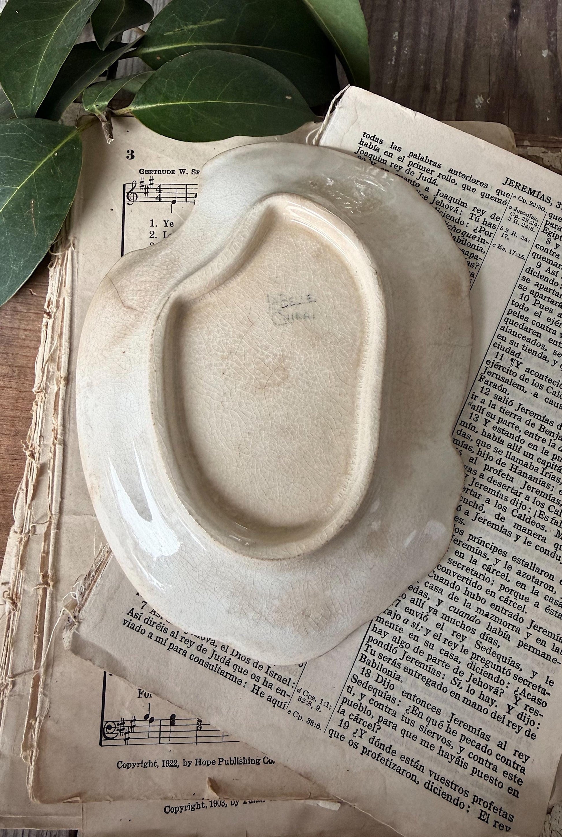 Antique La Belle China Dish – Small Ironstone Platter, Vintage White Crazing Tray, Farmhouse Decor