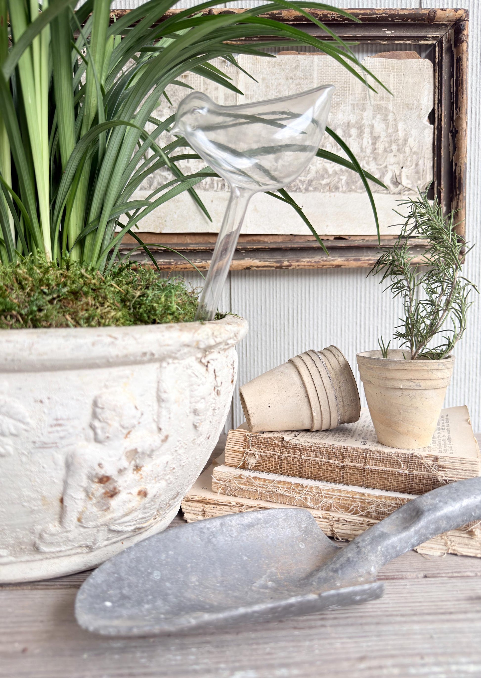 Vintage Bird Plant Watering Stake, Clear Plastic Watering Bird Garden