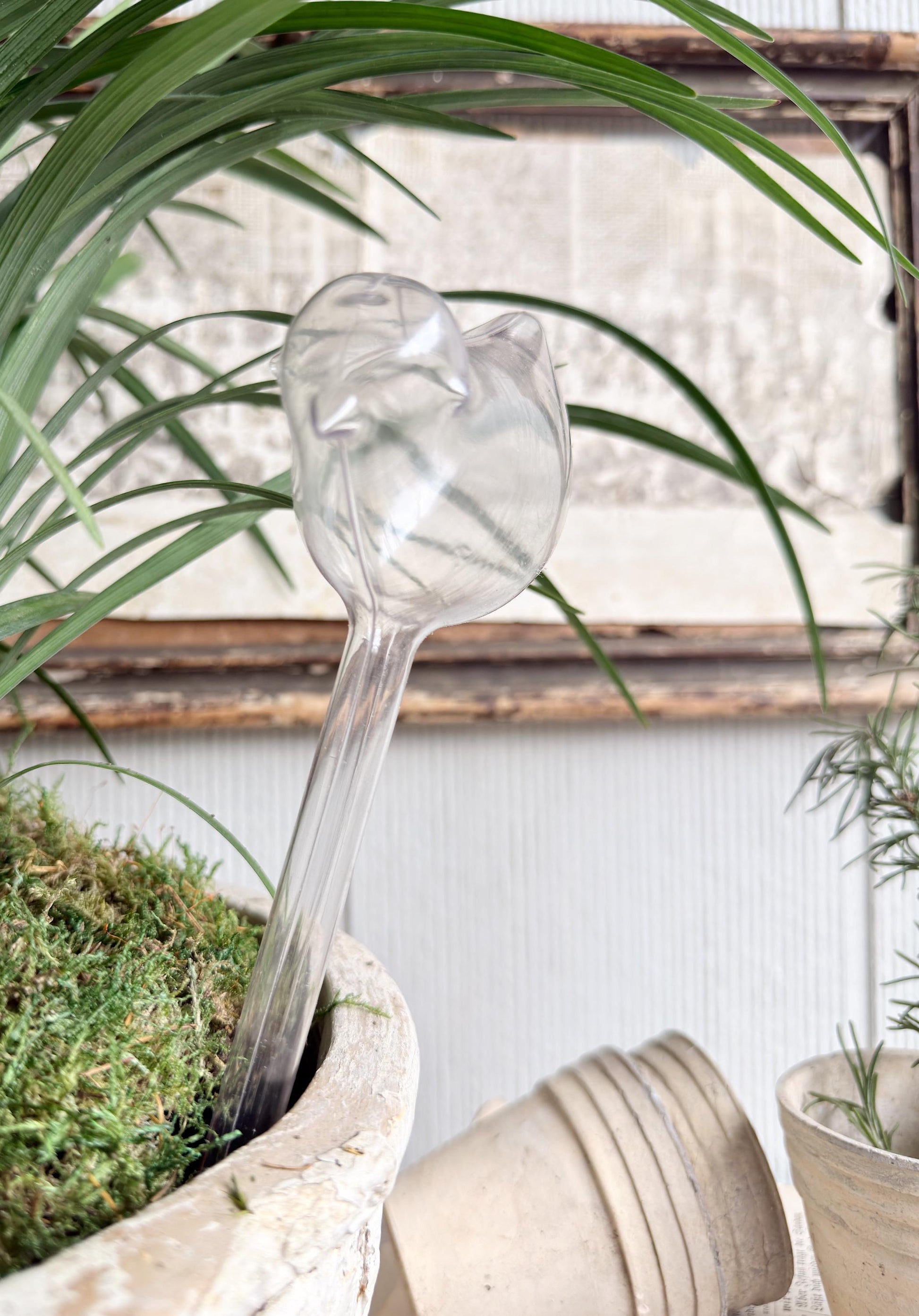 Vintage Bird Plant Watering Stake, Clear Plastic Watering Bird Garden