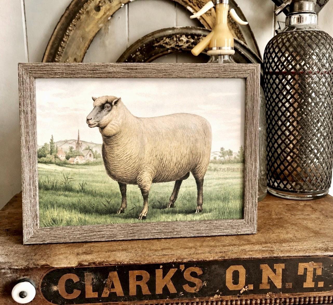 Vintage FRAMED SHEEP Wood Sign Primitive Farmhouse Decor Illustration Book Page Wall Art Print Pasture Farm Antique Image