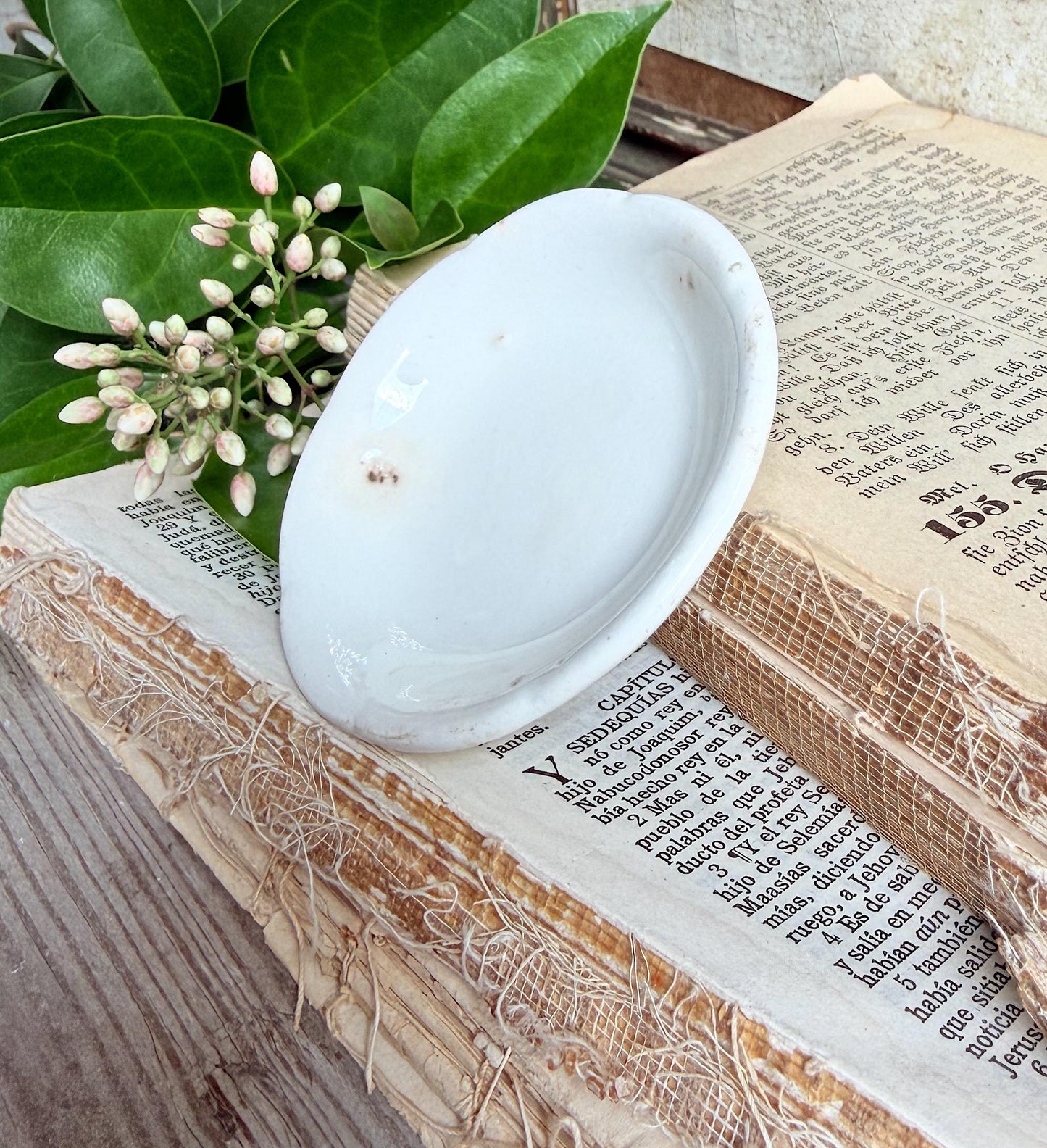Antique White Ironstone Butter Pat Farmhouse Decor MADDOCK