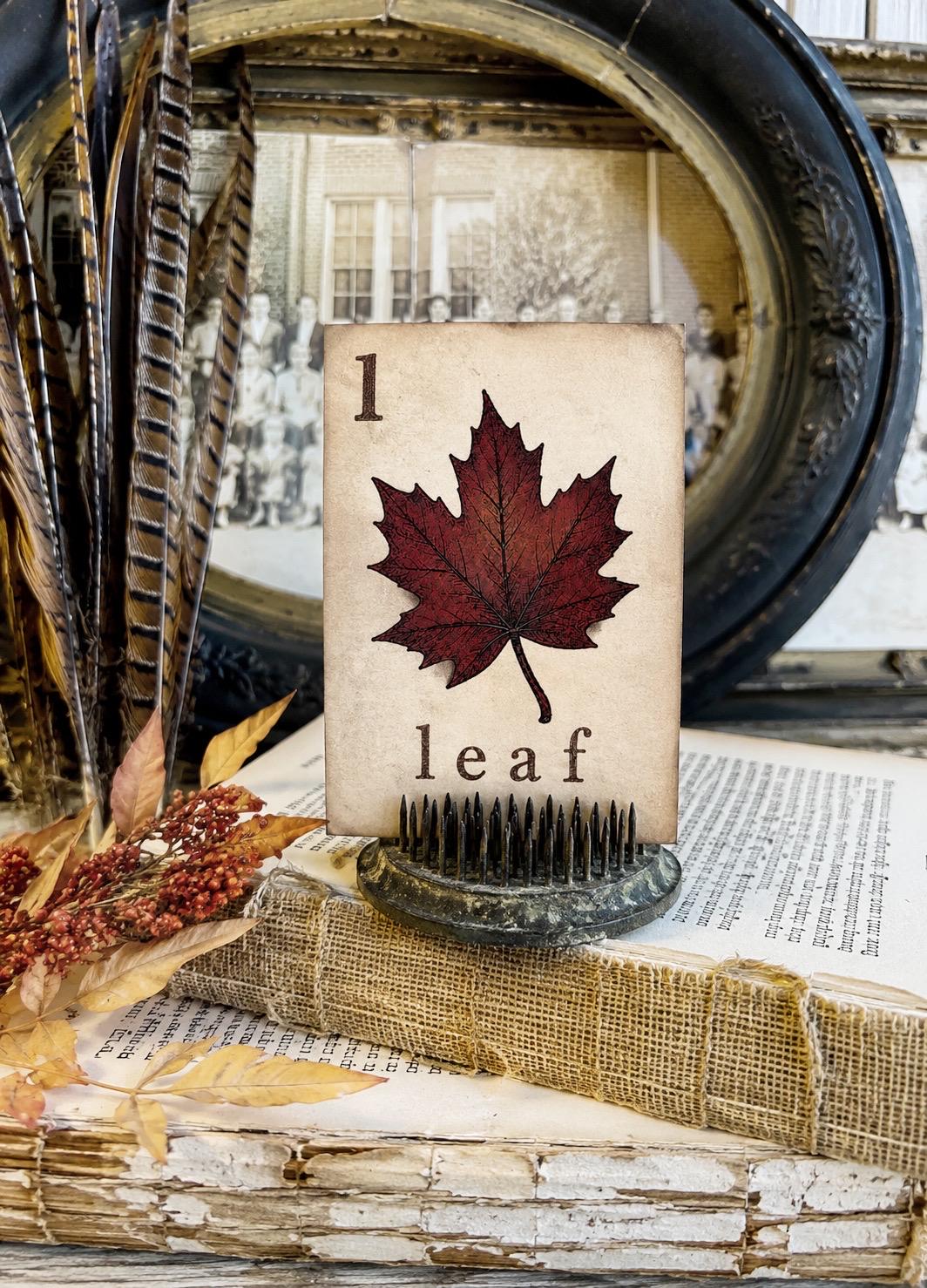 LEAF Flash Card Vintage Farmhouse Fall Halloween Autumn Decor Party