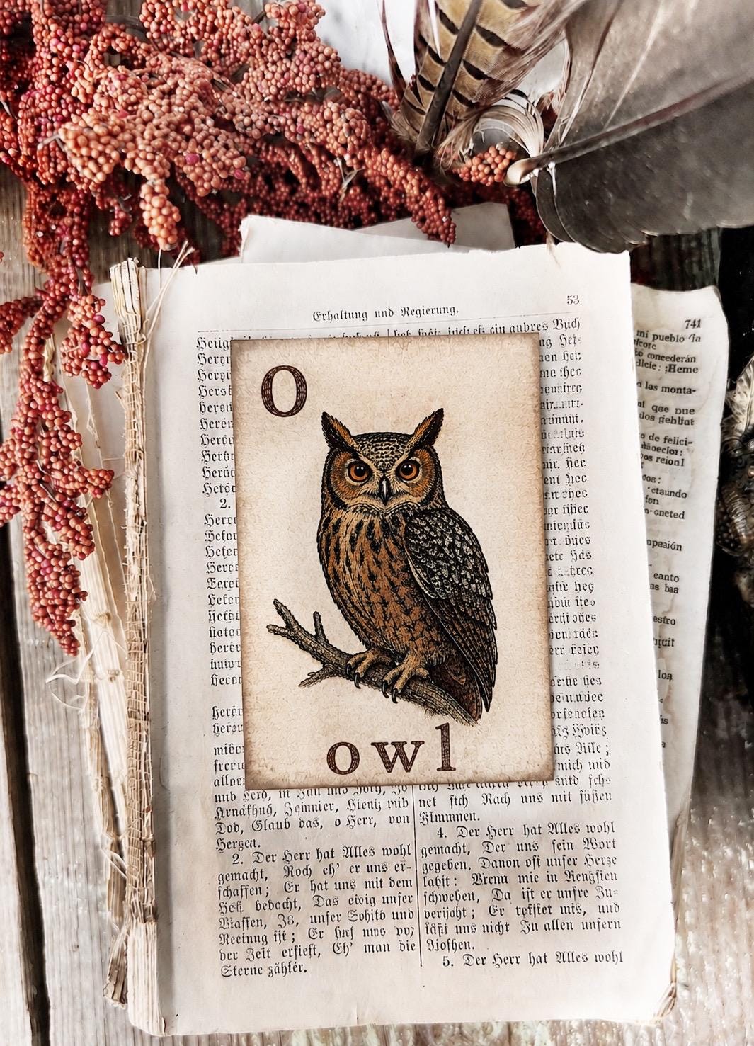 OWL Flash Card Vintage Farmhouse Fall Halloween Autumn Decor Party