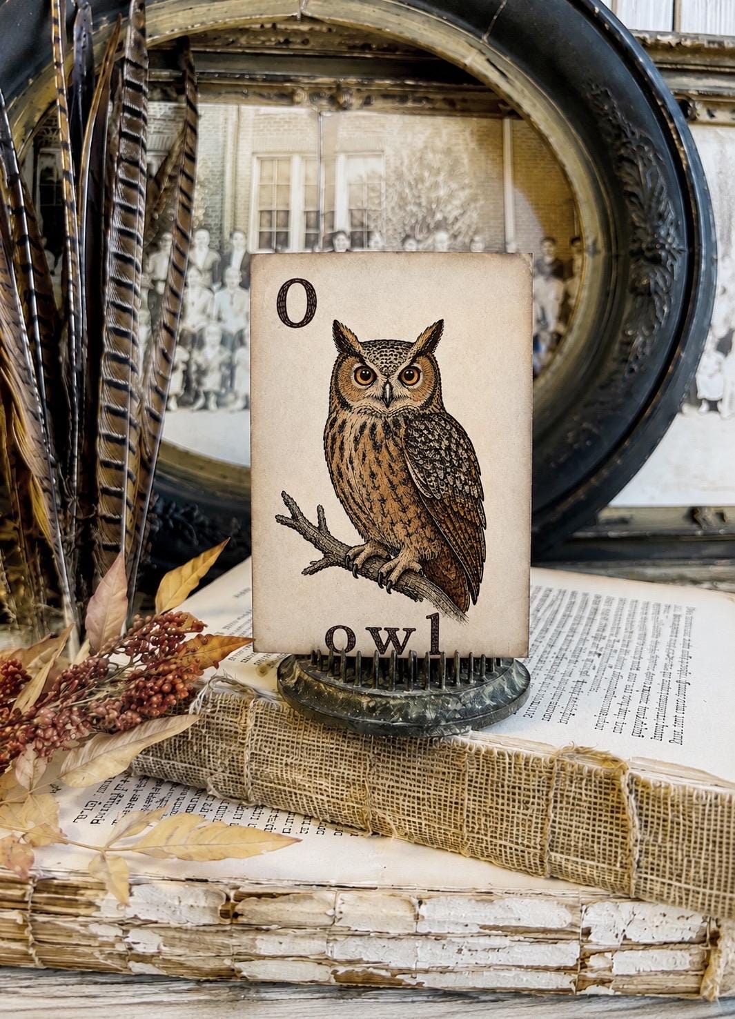 OWL Flash Card Vintage Farmhouse Fall Halloween Autumn Decor Party