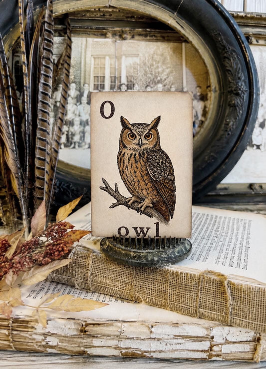 OWL Flash Card Vintage Farmhouse Fall Halloween Autumn Decor Party