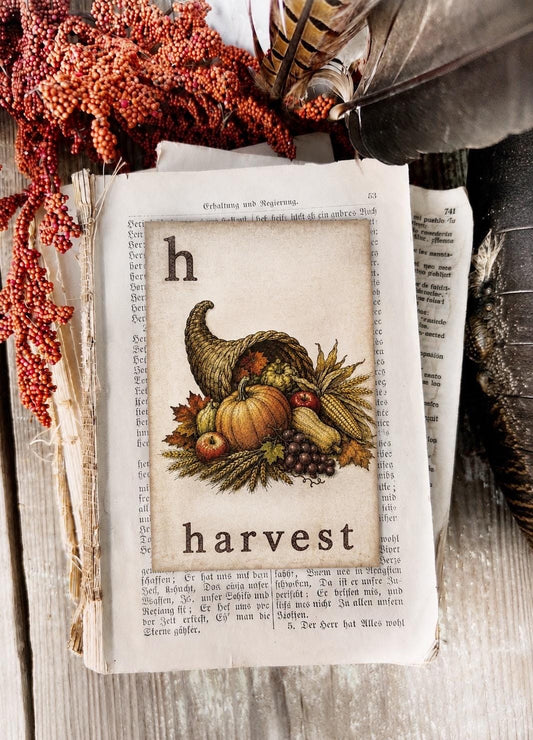 HARVEST Flash Card Vintage Farmhouse Fall Halloween Autumn Decor cornucopia