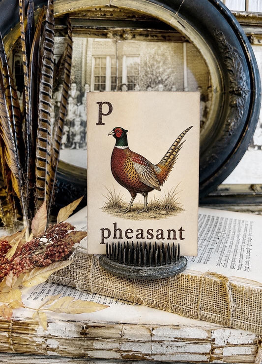 PHEASANT Flash Card Vintage Farmhouse Fall Halloween Autumn Decor Party
