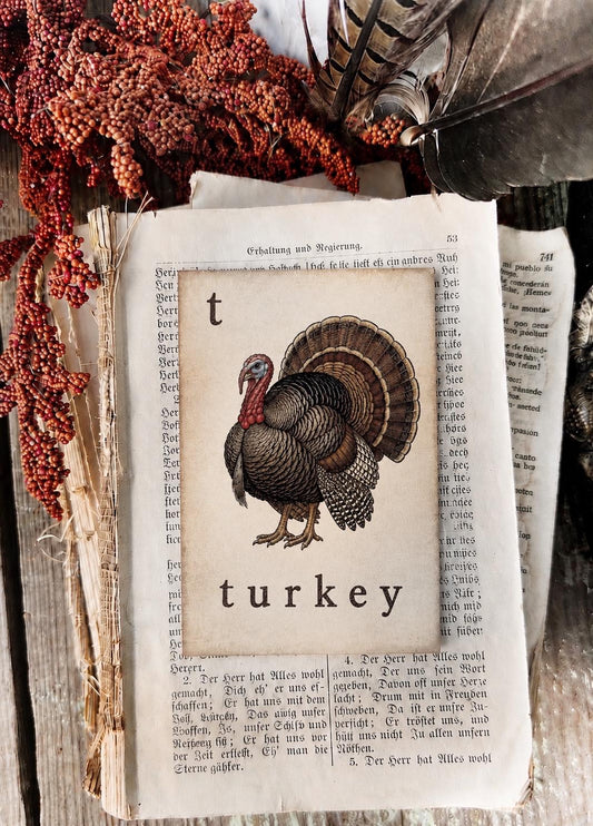 TURKEY Flash Card Vintage Farmhouse Fall Thanksgiving Autumn Decor Party