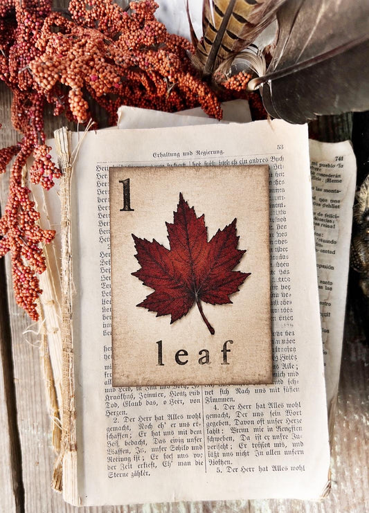 LEAF Flash Card Vintage Farmhouse Fall Halloween Autumn Decor Party