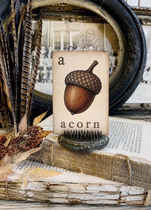 ACORN Flash Card Vintage Farmhouse Fall Halloween Autumn Decor Party