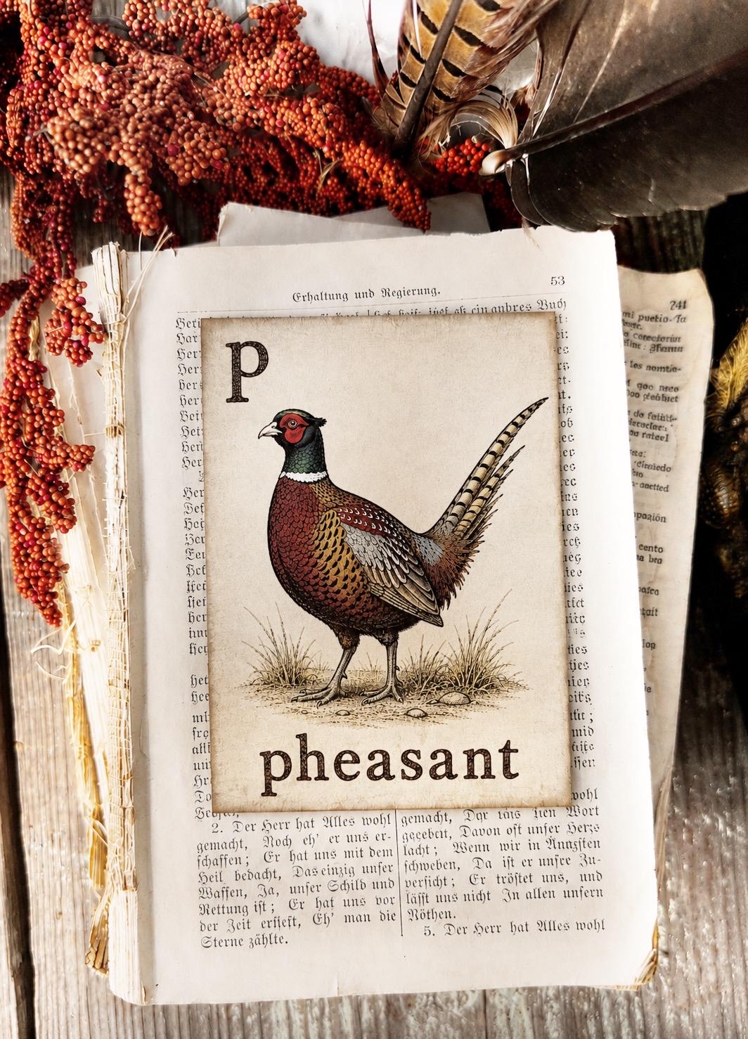 PHEASANT Flash Card Vintage Farmhouse Fall Halloween Autumn Decor Party