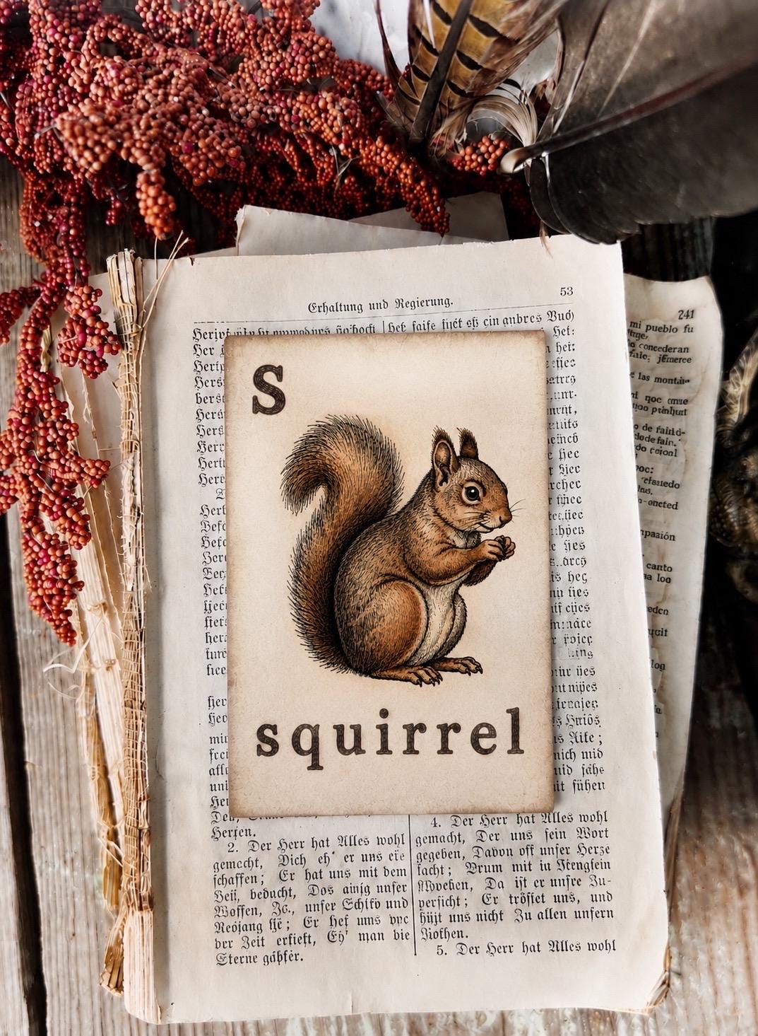 SQUIRREL Flash Card Vintage Farmhouse Fall Halloween Autumn Decor Party