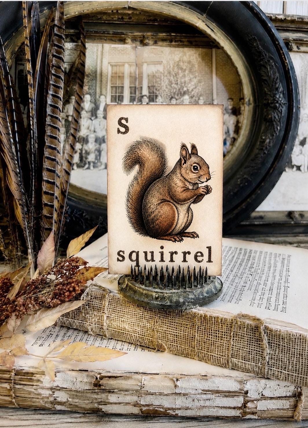SQUIRREL Flash Card Vintage Farmhouse Fall Halloween Autumn Decor Party