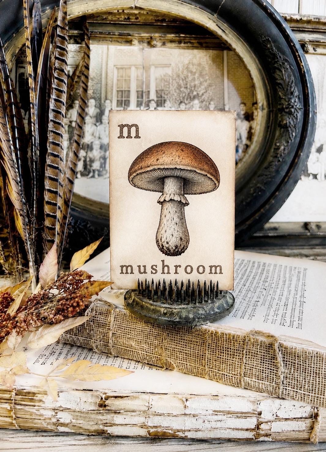 MUSHROOM Flash Card Vintage Farmhouse Fall Halloween Autumn Decor Party