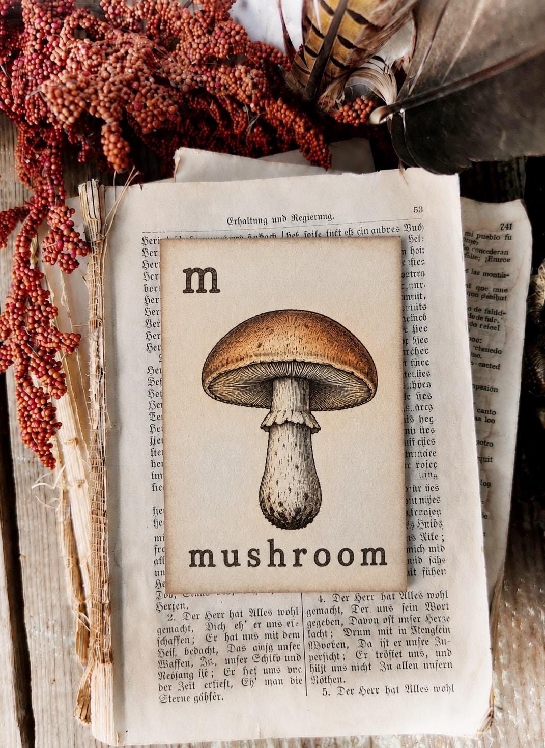 MUSHROOM Flash Card Vintage Farmhouse Fall Halloween Autumn Decor Party