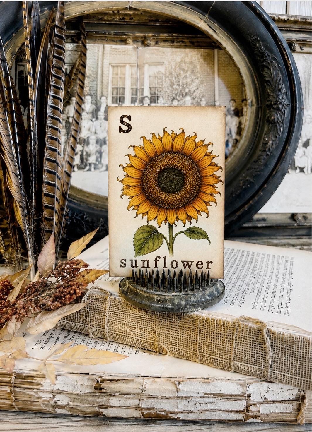 SUNFLOWER Flash Card Vintage Farmhouse Fall Halloween Autumn Decor Party