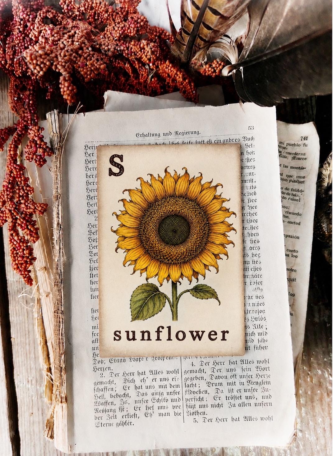 SUNFLOWER Flash Card Vintage Farmhouse Fall Halloween Autumn Decor Party